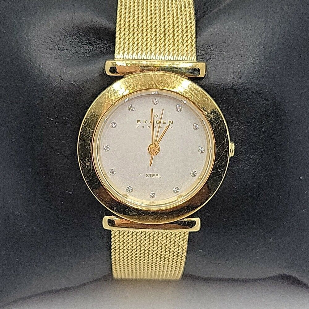 Skagen 107SGGD Women's Stainless Steel Analog Silver Dial Quartz Watch AM767